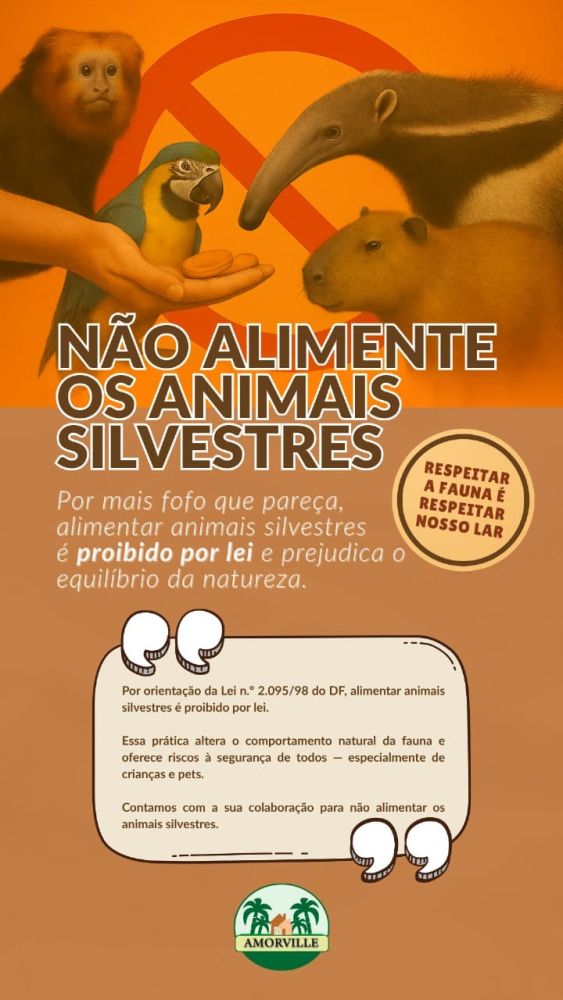 Imagem Intro